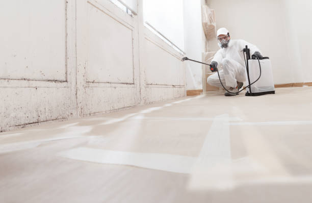 24/7 Emergency Mold Remediation experts in Frankfort, KY